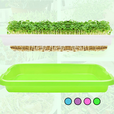 Amazon Plastic Double-Layer Sprouting Tray Nursery Tray Flower Pot Planter Home Planting Tool
