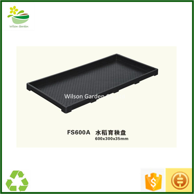 Wholesale Quality Vegetable Hydroponic Plastic Greenhouse Trays Seedling Trays Seed Hydroponic Containers