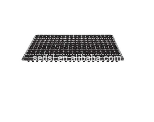 exterior &amp;amp; Shengerda Leizisure Indoor Nursery Plant Trays Grow Plastic Seed Tray